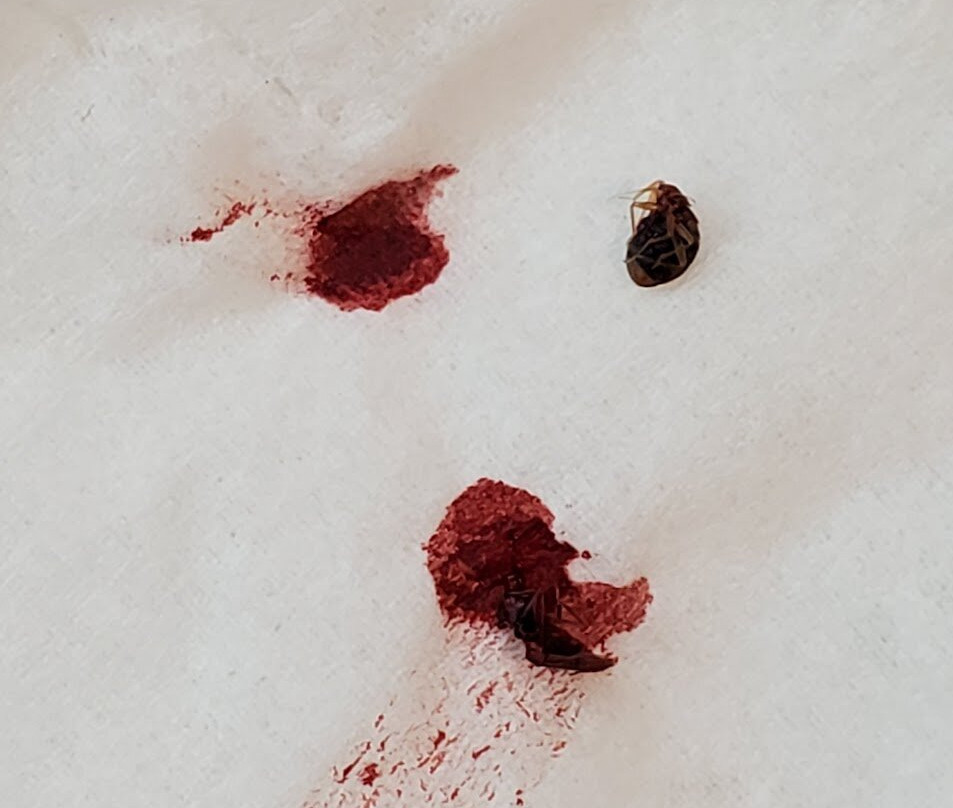 Baymont By Wyndham Blackwell I-35主图