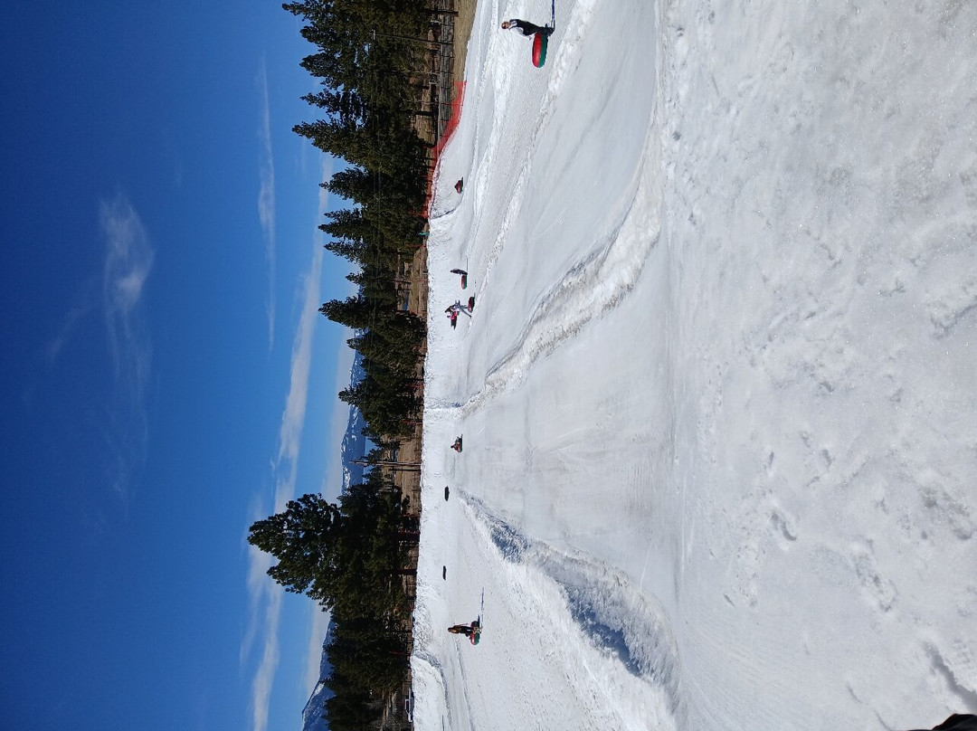South Lake Tahoe Ice Arena-南太浩湖必去景点