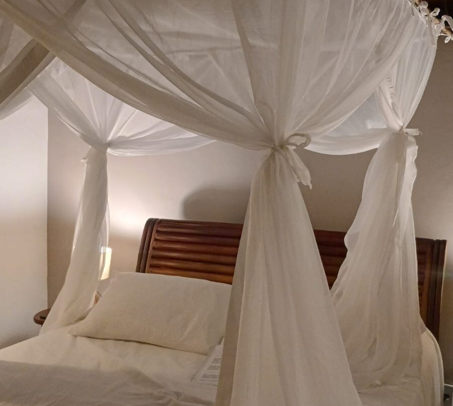 Pousada Coqueiros主图