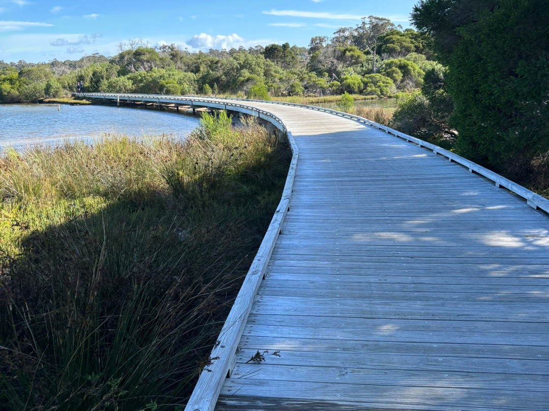 The Wave Oasis主图