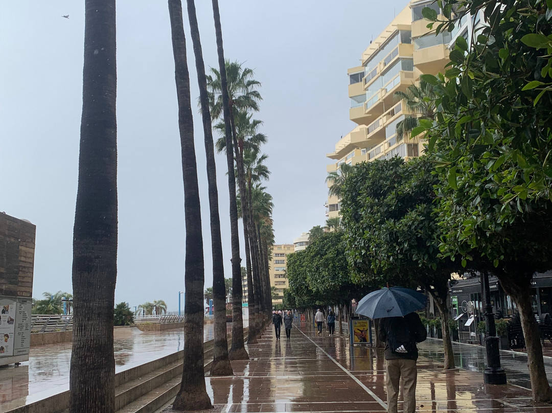 Paseo Maritimo景点图片