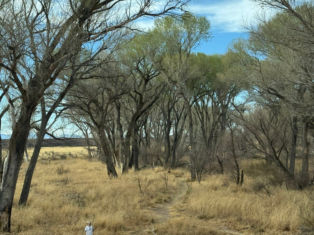 San Pedro Riparian National Conservation Area-谢拉维斯塔必去景点