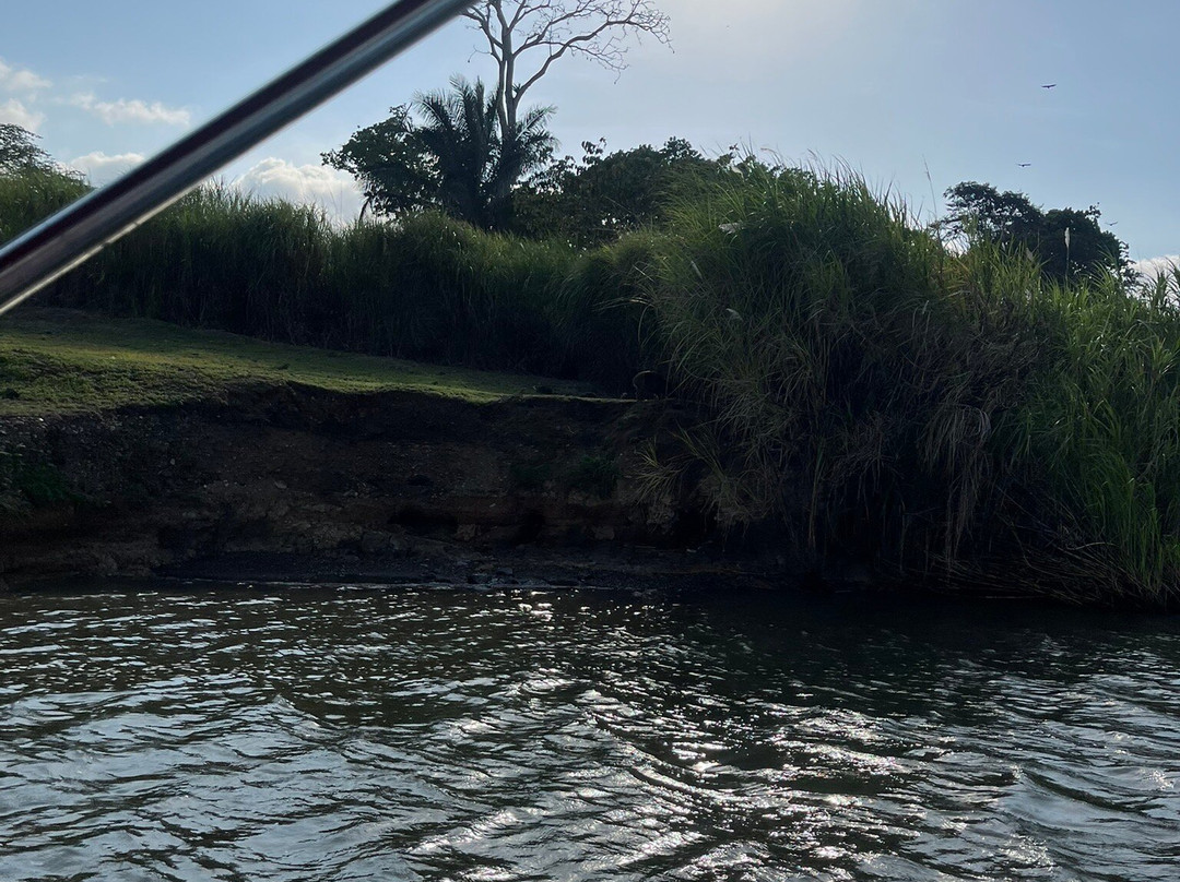 Monkey Island-巴拿马城必去景点