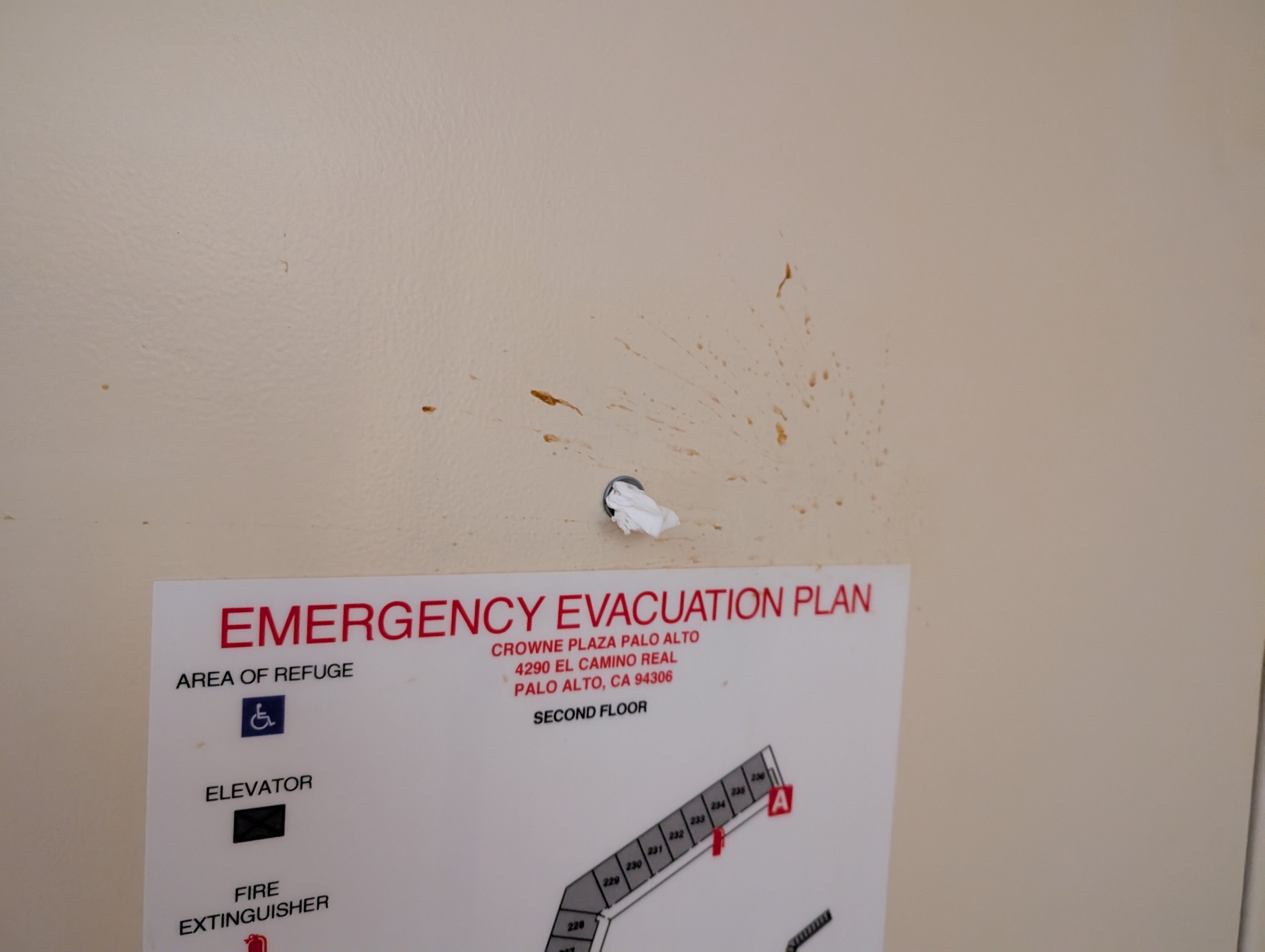 帕洛阿尔托皇冠假日酒店-客卧