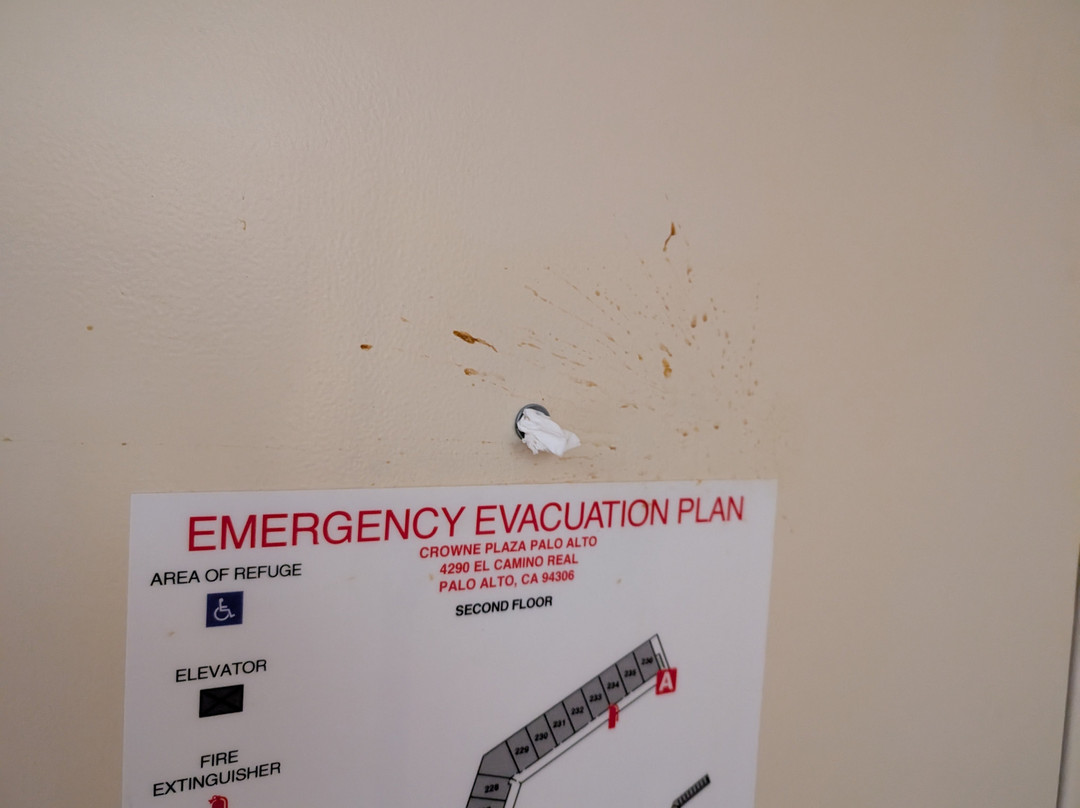 帕洛阿尔托皇冠假日酒店主图