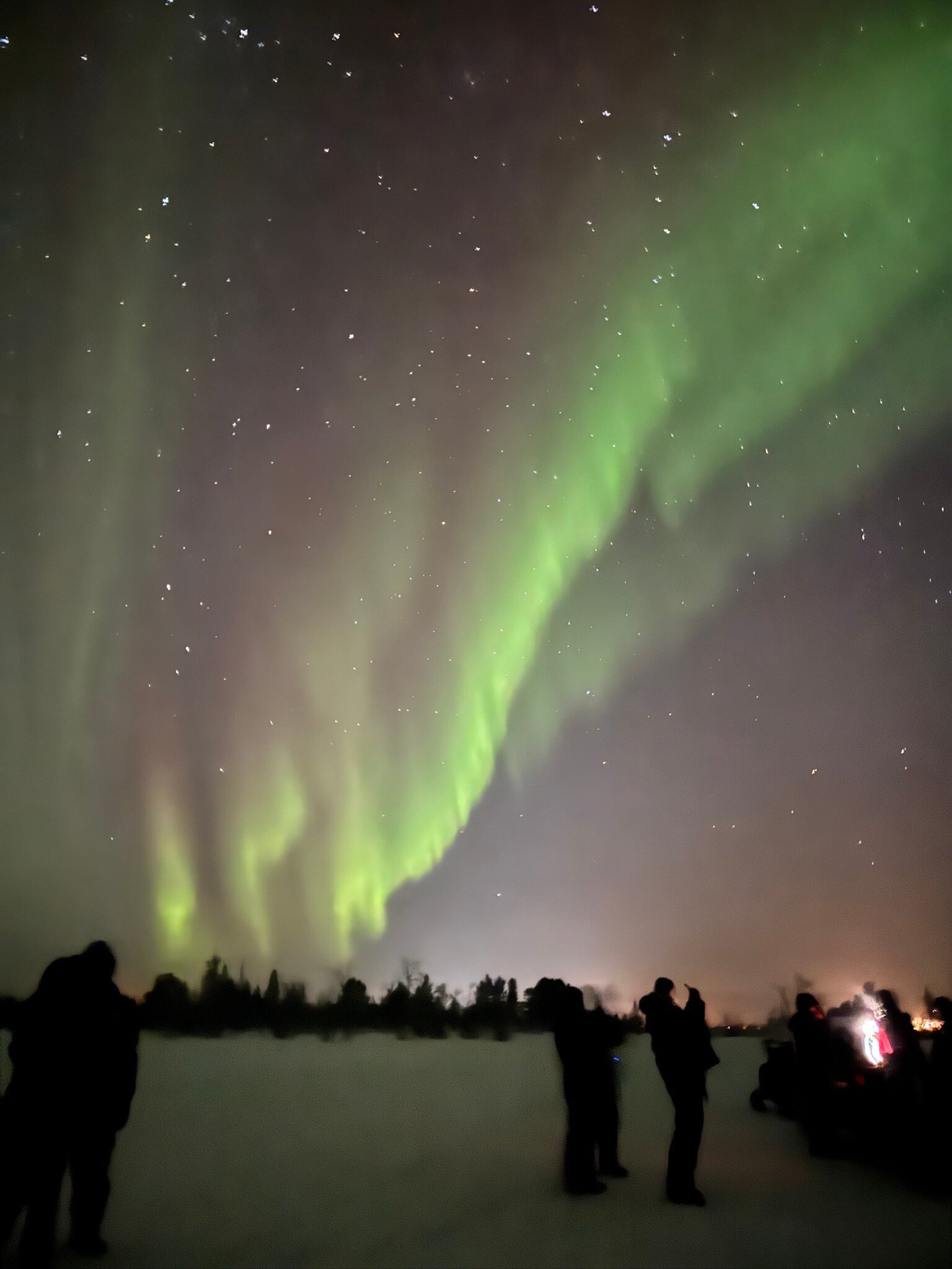 Davvi Arctic Lodge-官方
