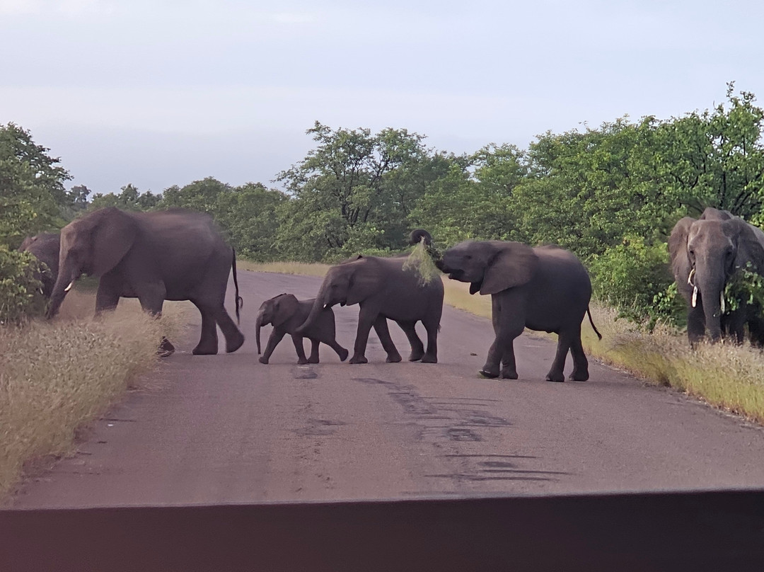 Africa Breeze Tours and Transfers景点图片