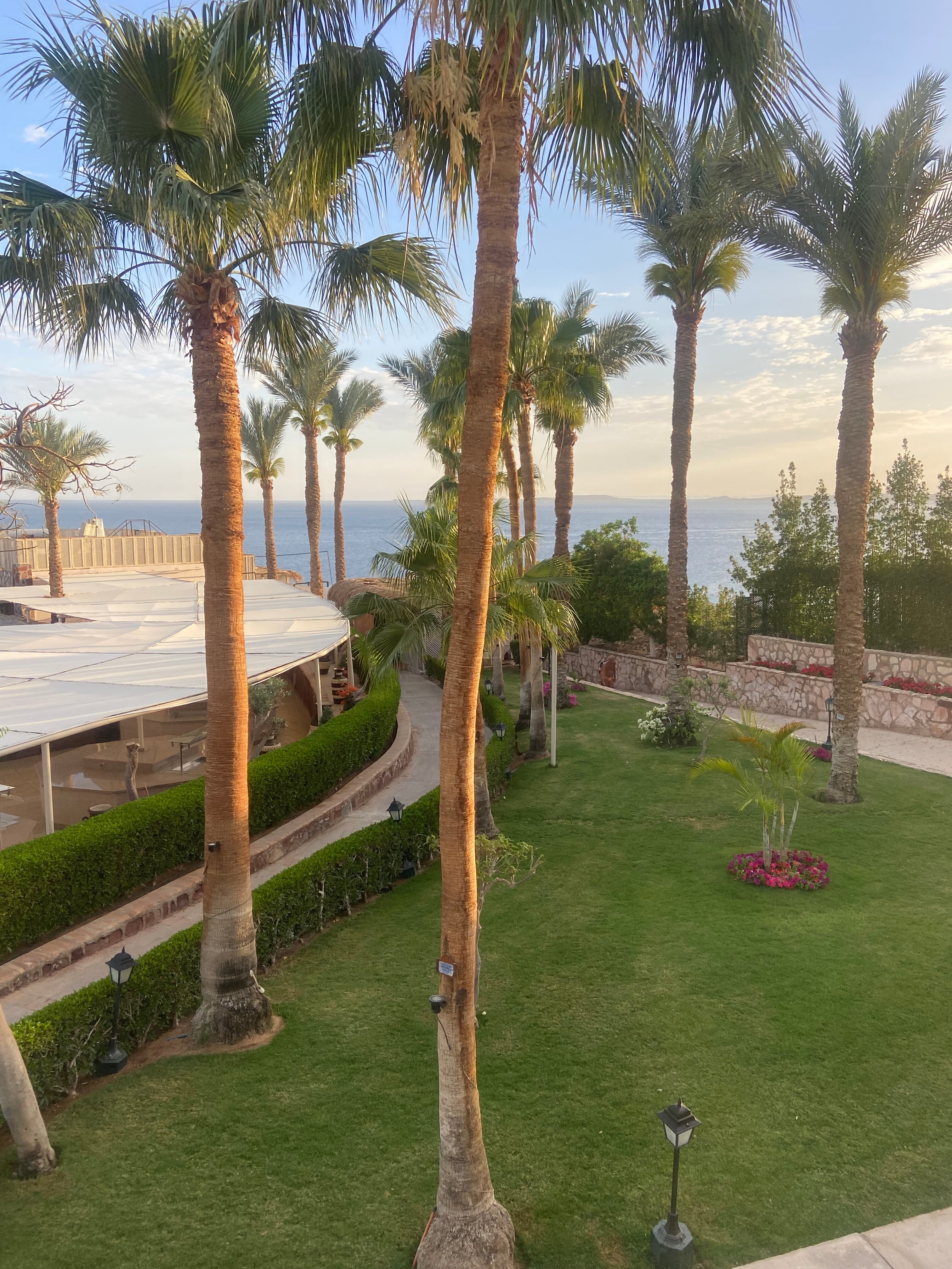 Jaz Fanara Residence-客卧