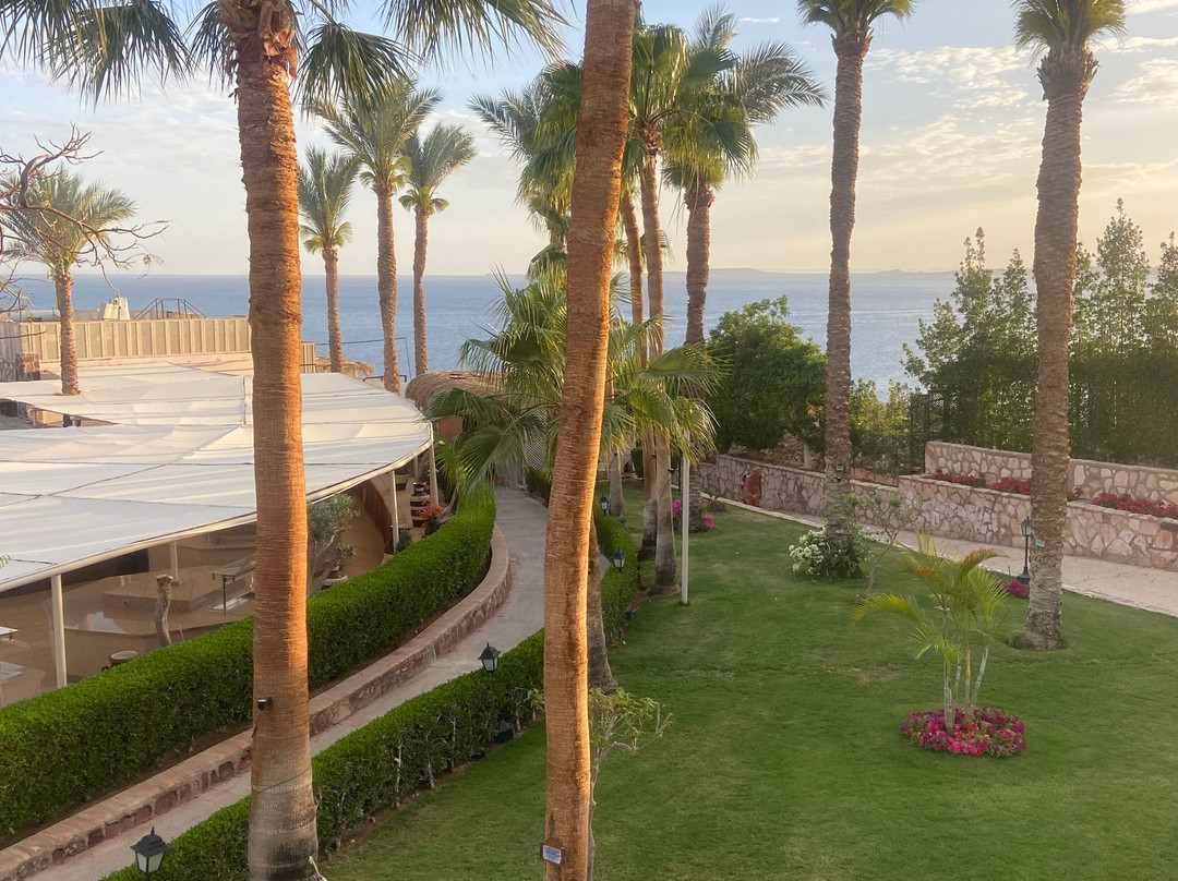 Jaz Fanara Residence主图