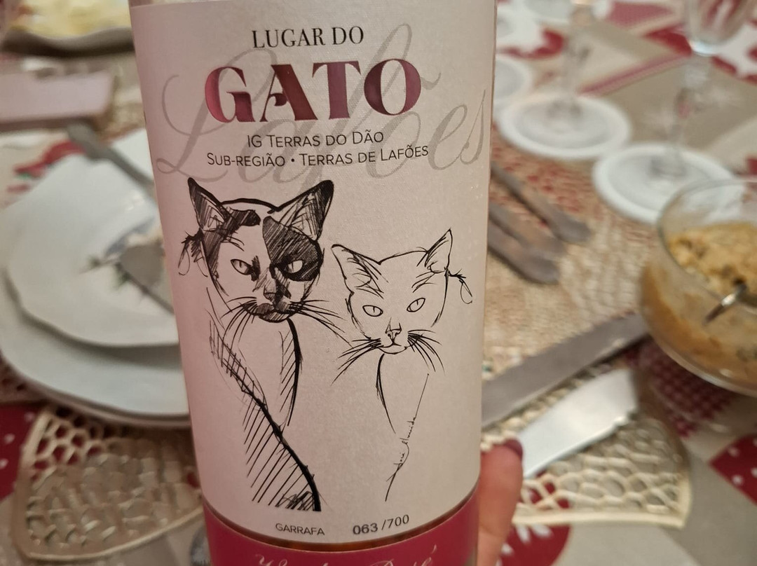 Quinta Do Gato Enoturismo景点图片