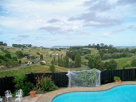 Camellia House主图