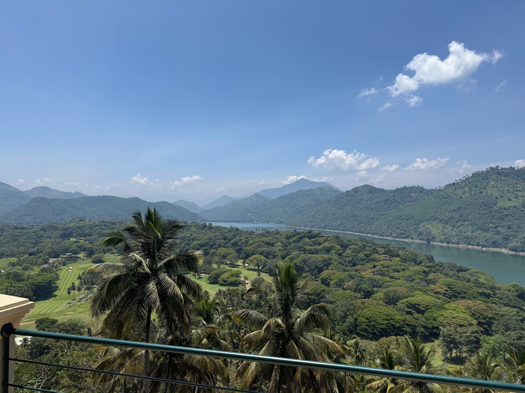 The Albatross, Kandy主图