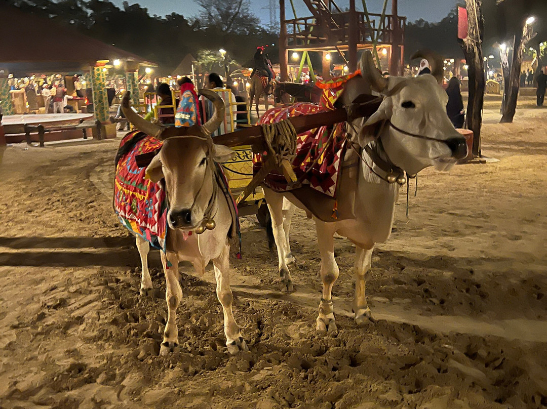 EXPERIENCE VACATIONS INDIA PRIVATE LIMITED-新德里必去景点