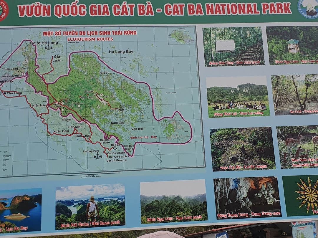 Vietnam Insider Travel-下龙湾必去景点