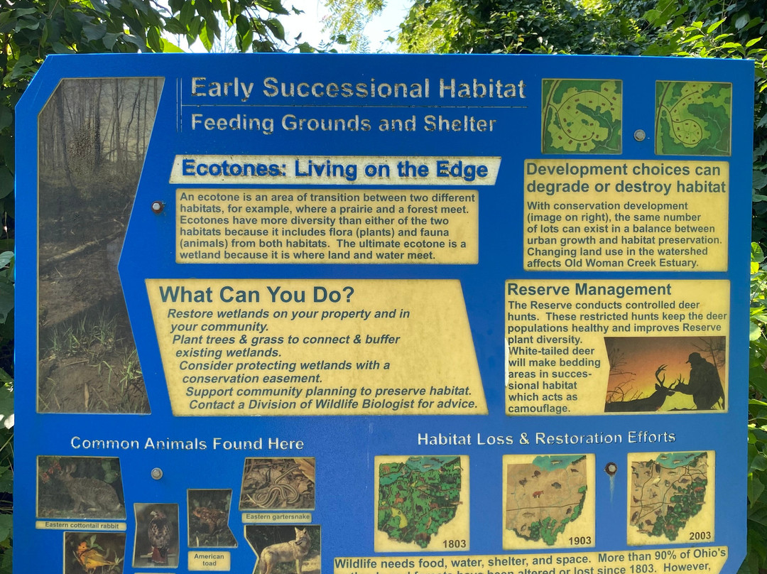 Old Woman Creek State Nature Preserve-Huron必去景点