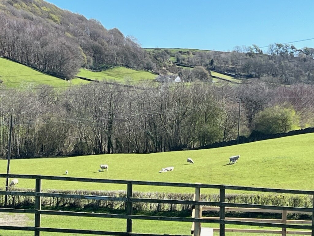 Lake District Bikes景点图片