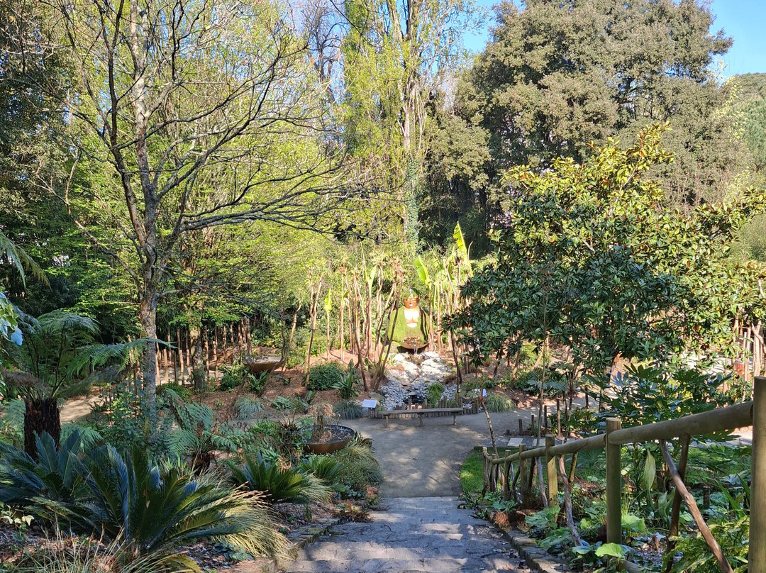 Parc des Dryades景点图片