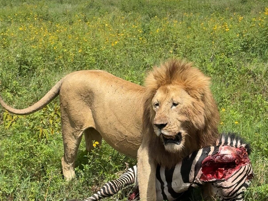 Chemli Expeditions-莫西必去景点