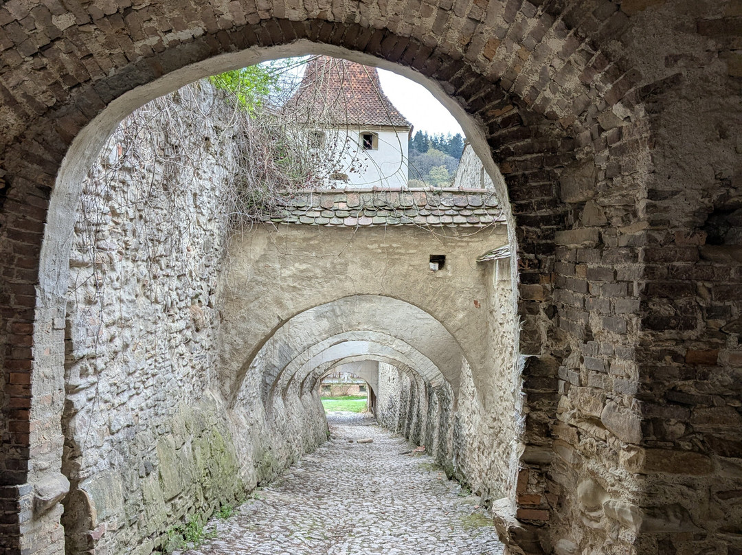 Visit Transilvania Travel-布拉索夫必去景点