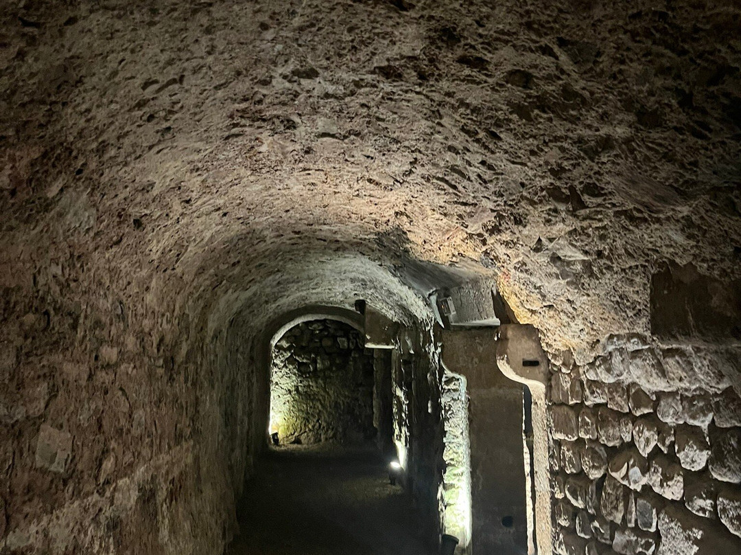 Visiter l’Horreum景点图片