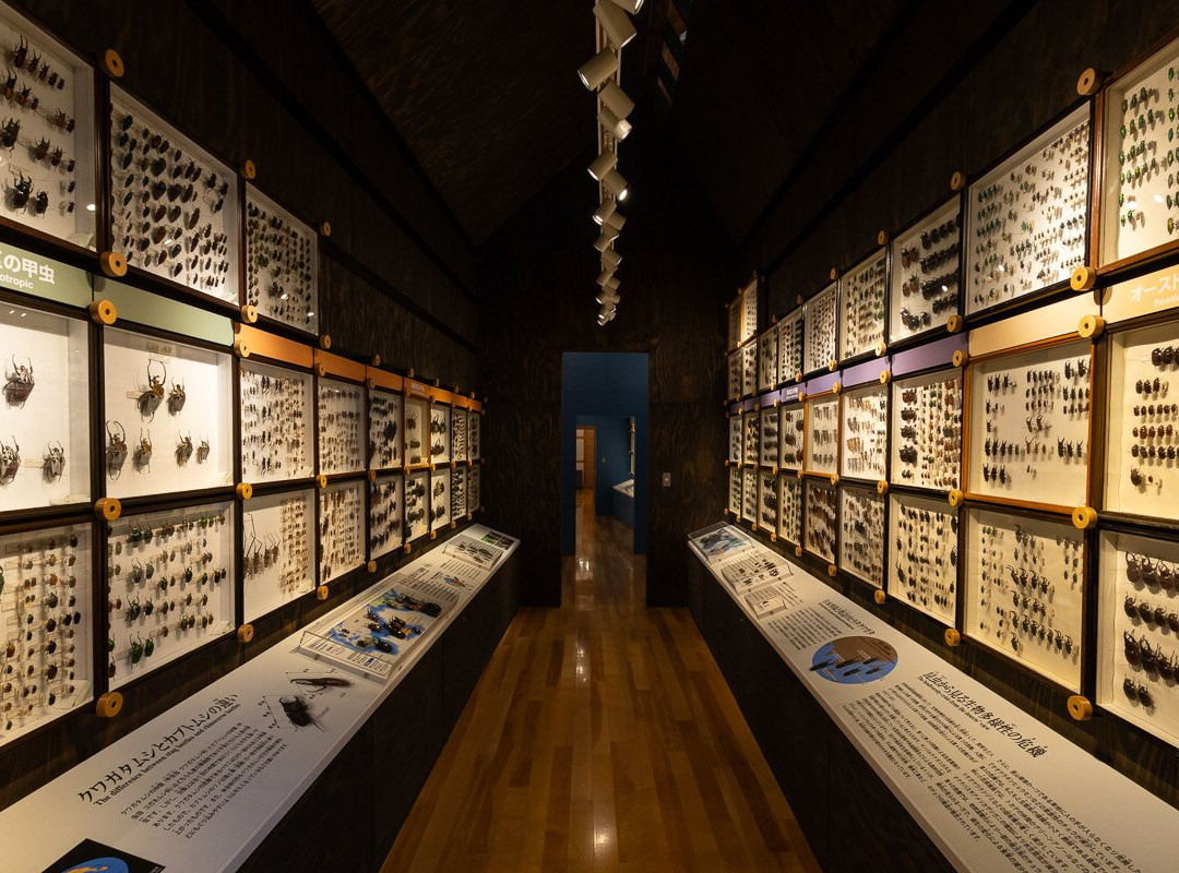 Higashi Taisetsu Nature Center-上士幌町必去景点