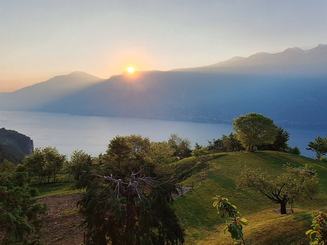 斯皮纳里酒店主图