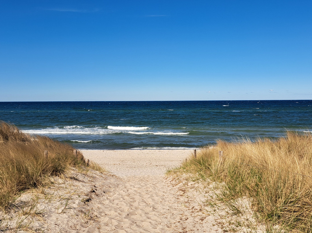 Ostseebad Dierhagen景点图片