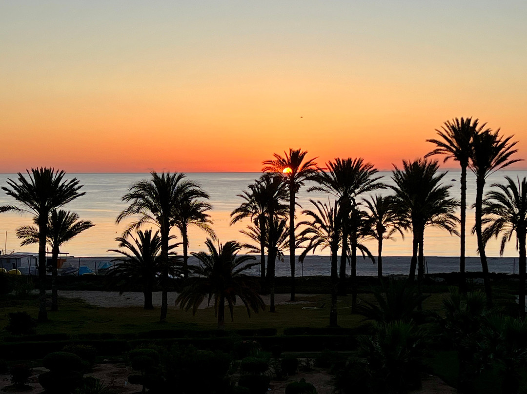 TUI Blue Scheherazade主图