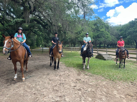 Middleton Place Equestrian Center-查尔斯顿必去景点