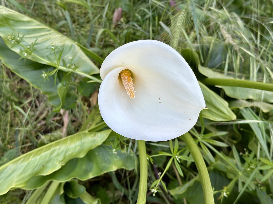 蝴蝶格罗夫旅馆主图