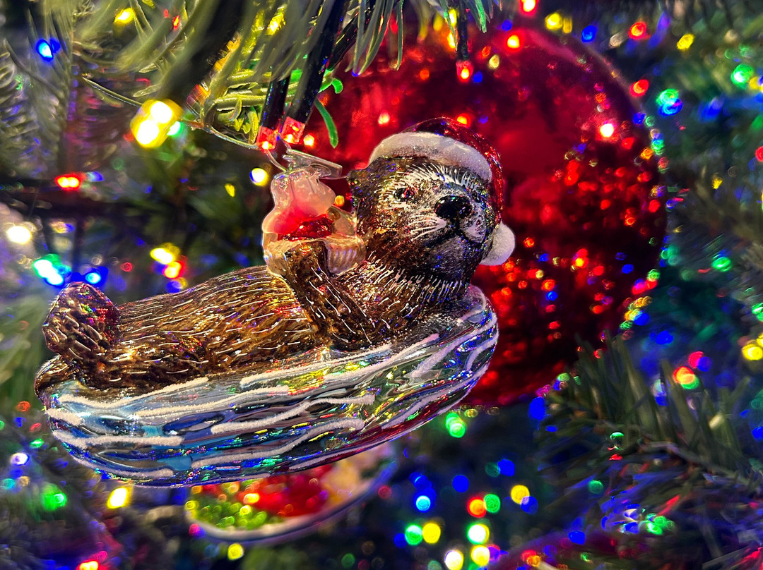 The Christmas Place-皮金福奇必去景点