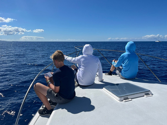 Live Bait Sport Fishing-怀厄奈必去景点