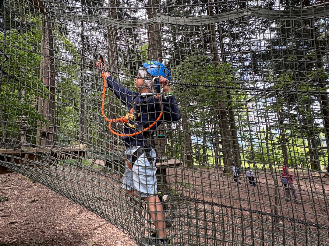 Jungle Raider Park-Albavilla必去景点
