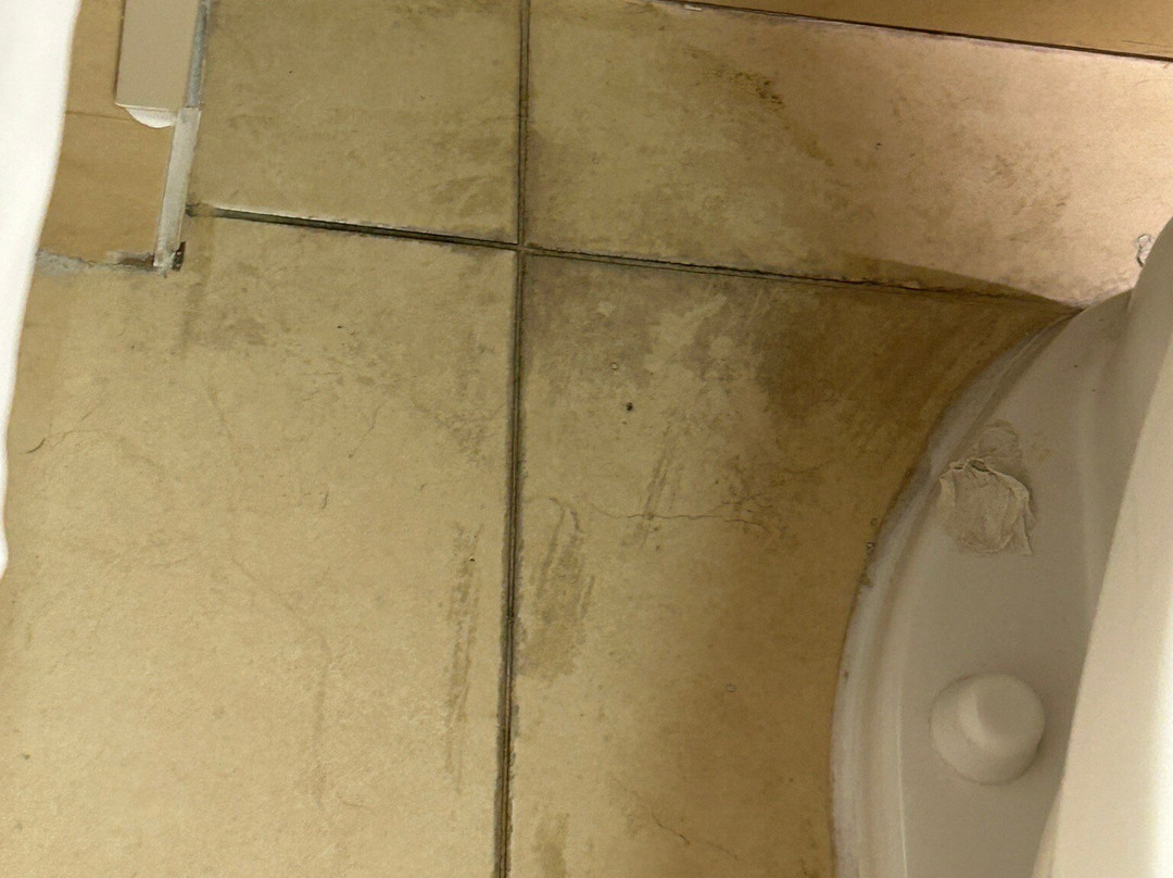 TownePlace Suites by Marriott The Villages主图