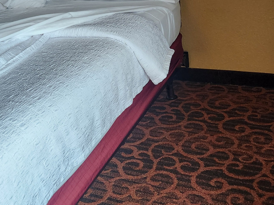 Hampton Inn & Suites Jacksonville-Airport主图