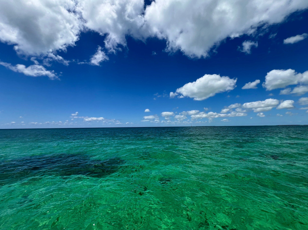 Xotic Island Charters-Cudjoe Key必去景点