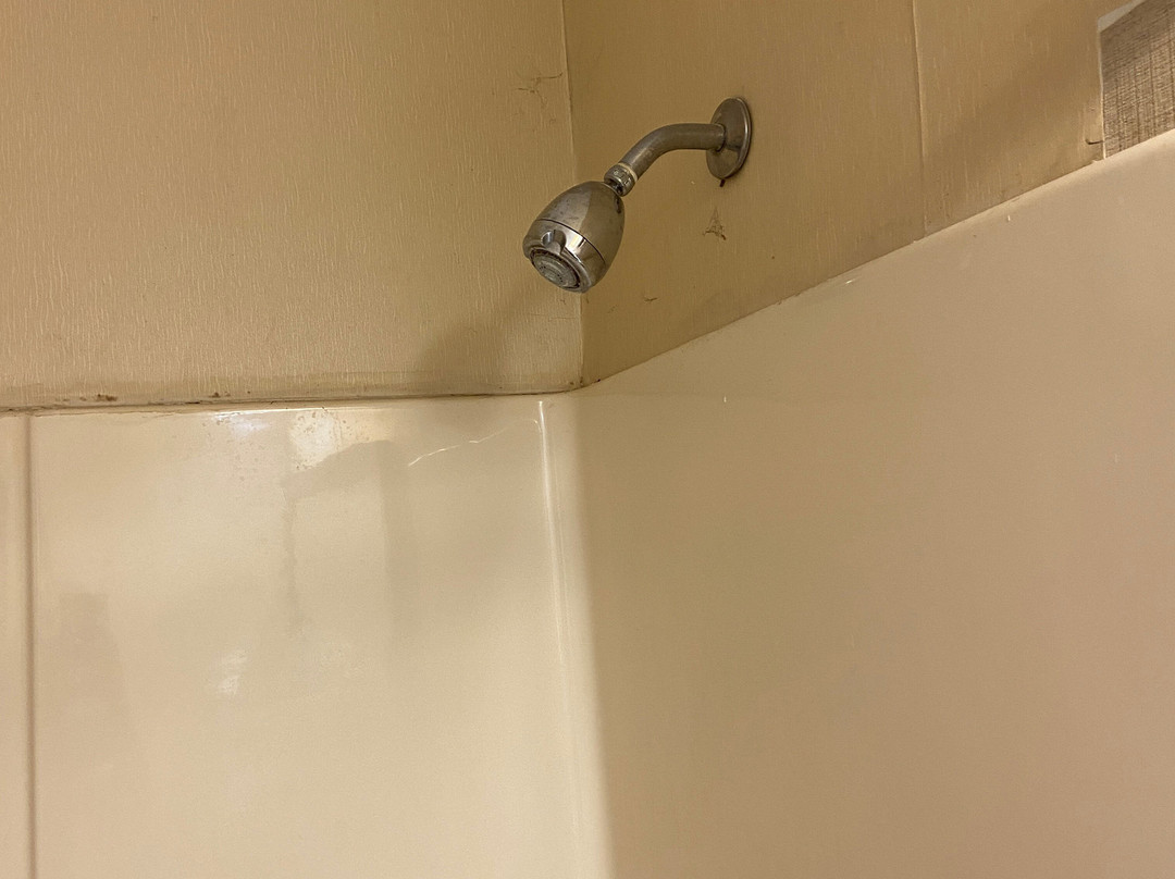 Super 8 by Wyndham Schenectady/Albany Area主图