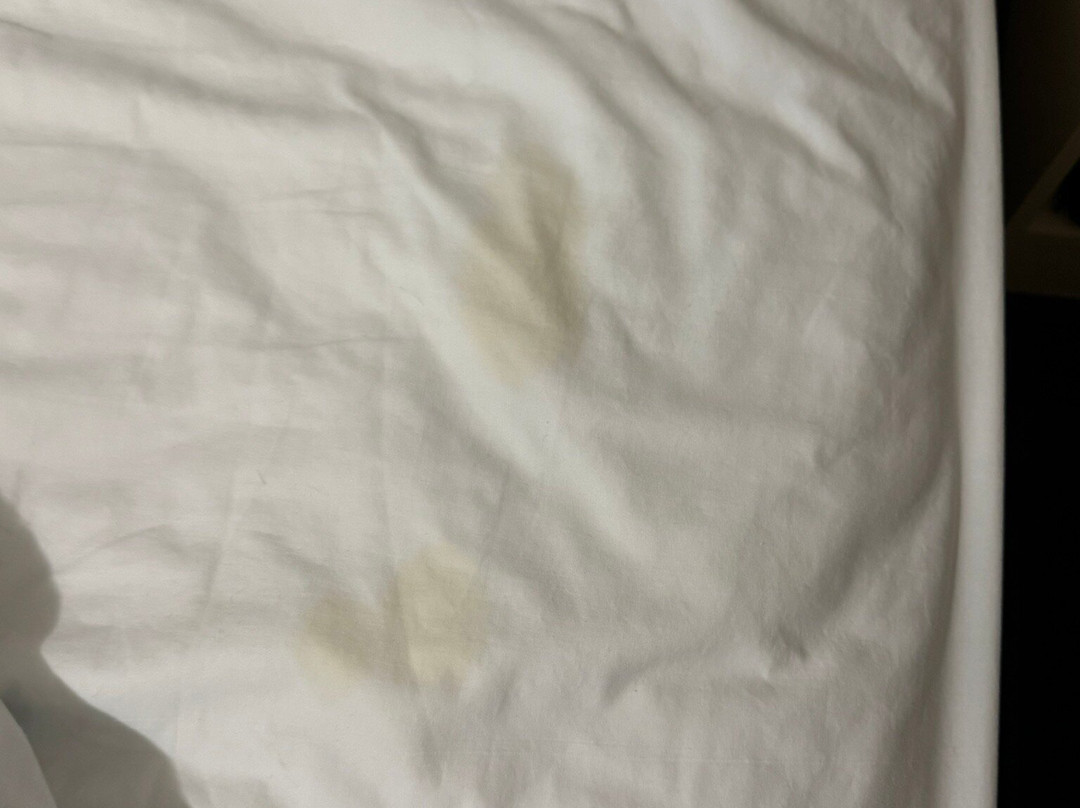 Grand Manor Motor Inn主图