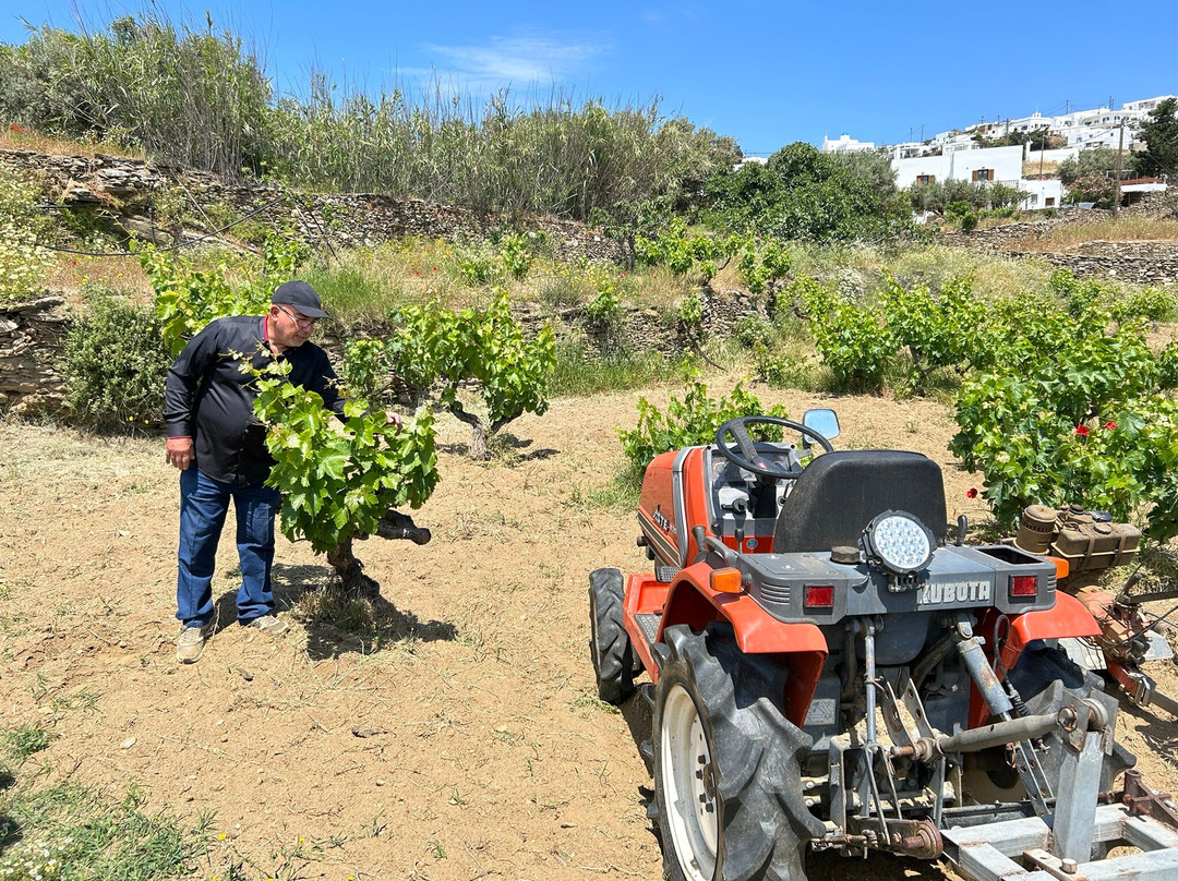 Narlis Farm-Apollonia必去景点