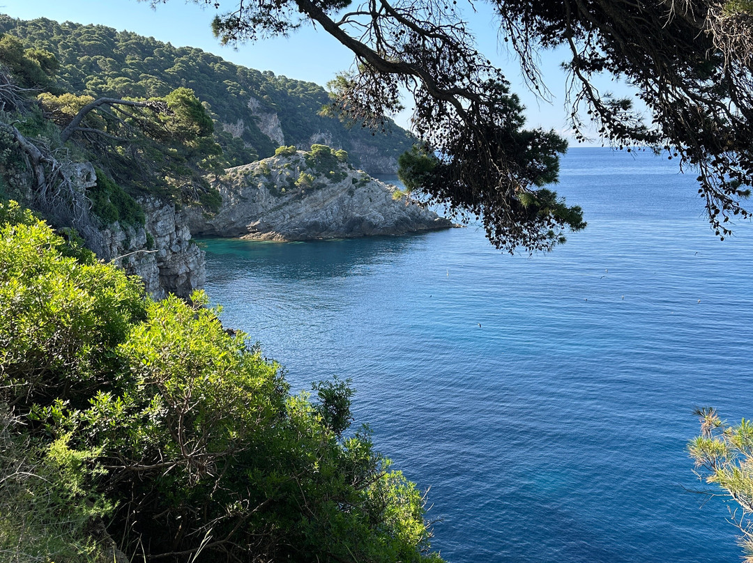 Dubrovnik Boat Tours-杜布罗夫尼克必去景点
