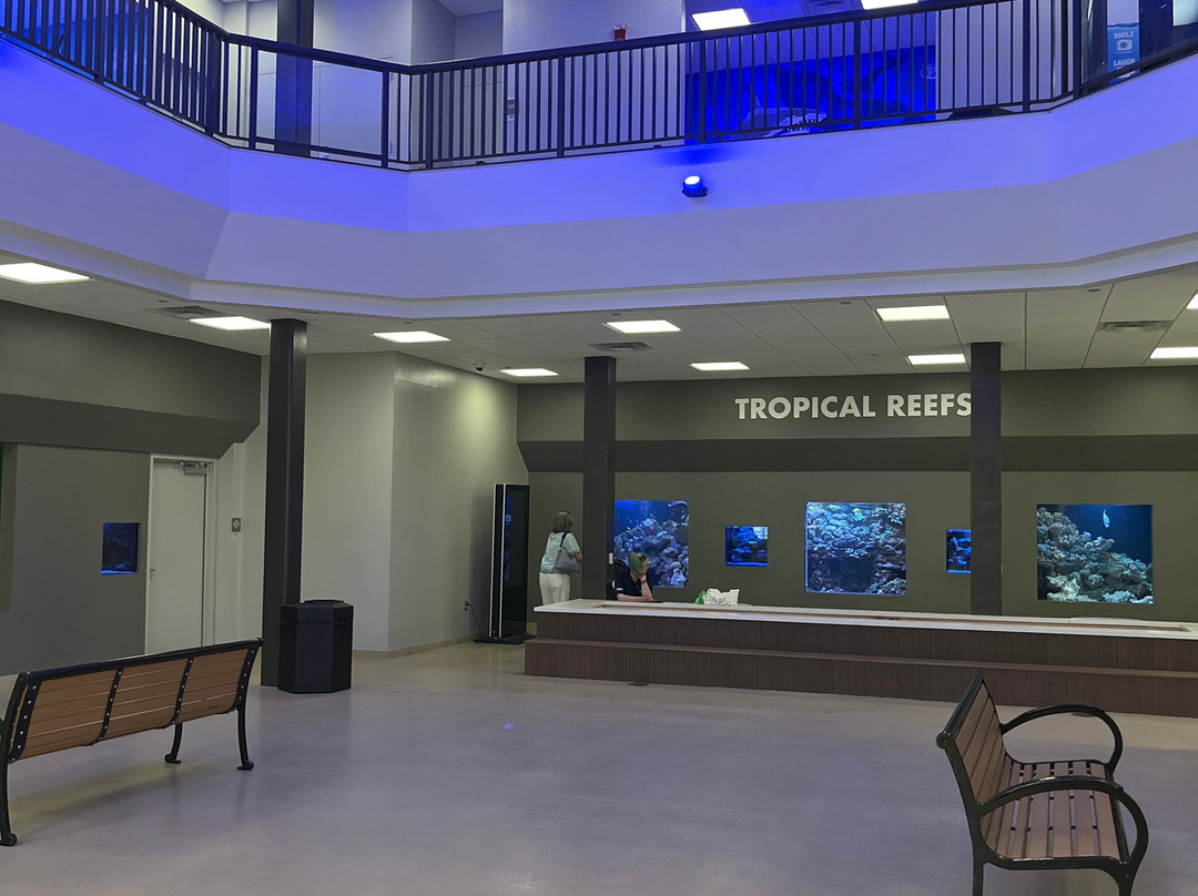 Atlantic City Aquarium Historic Gardner's Basin-大西洋城必去景点