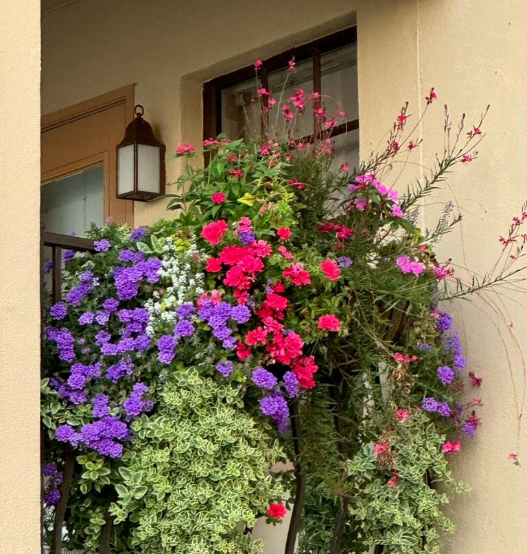 Inn On The Lakes主图