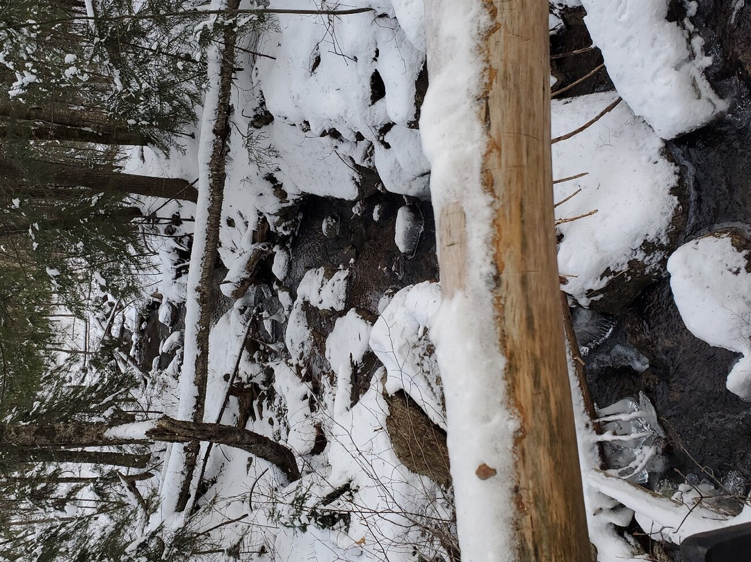 Arethusa Falls-Hart's Location必去景点