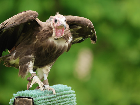 The Hawking Centre-Doddington必去景点