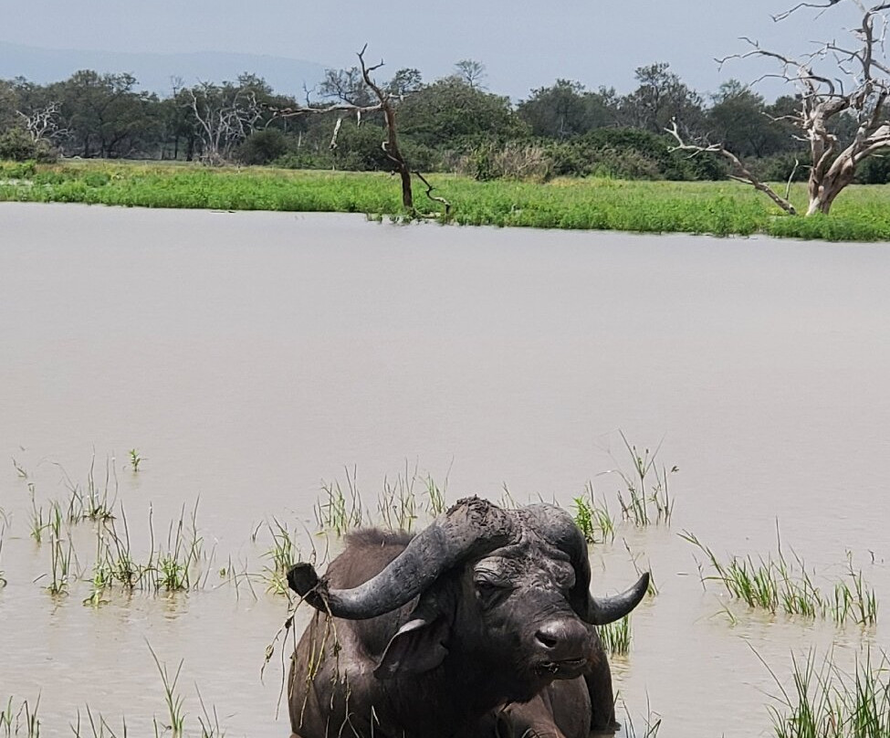 Mchaka Mchaka Tours-Mloka必去景点