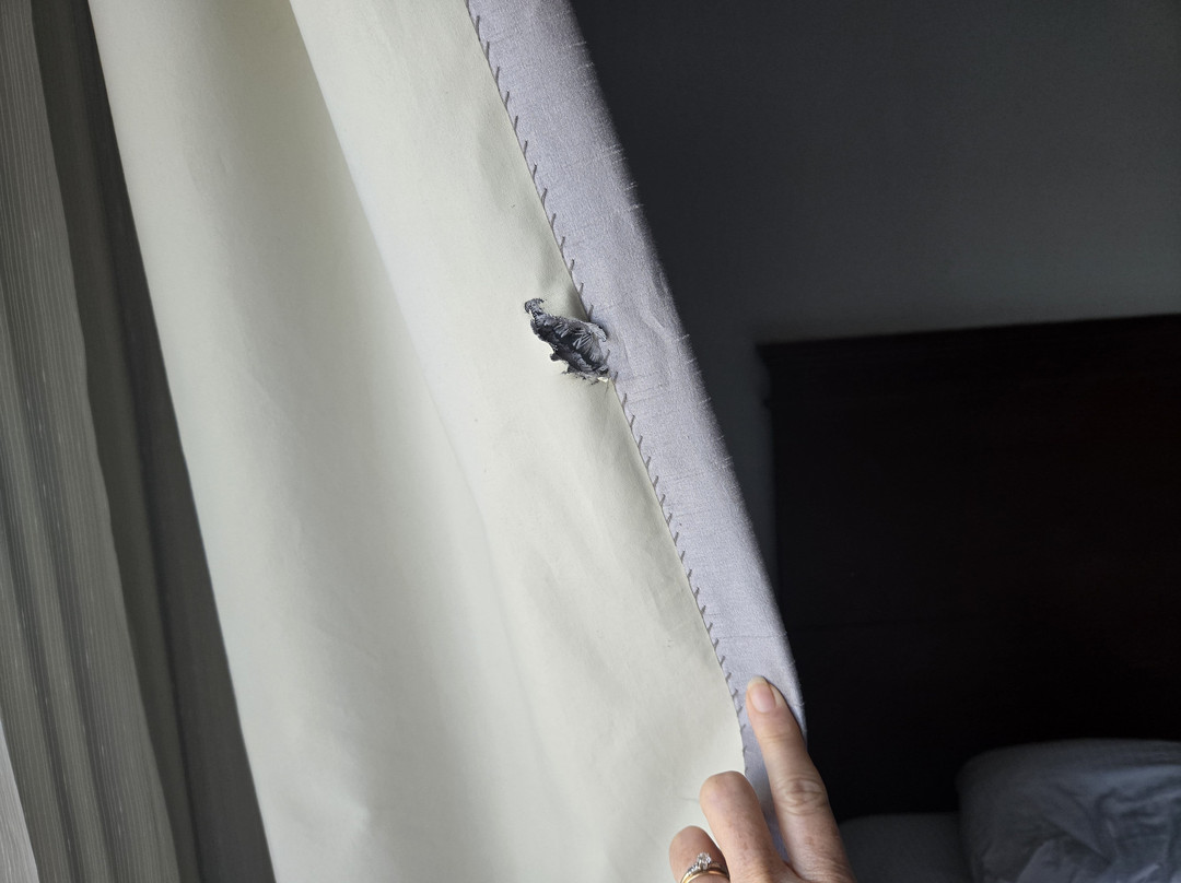 Best Western Executive Inn & Suites主图