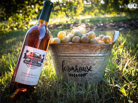 Tennessee Mountainview Winery-Wears Valley必去景点