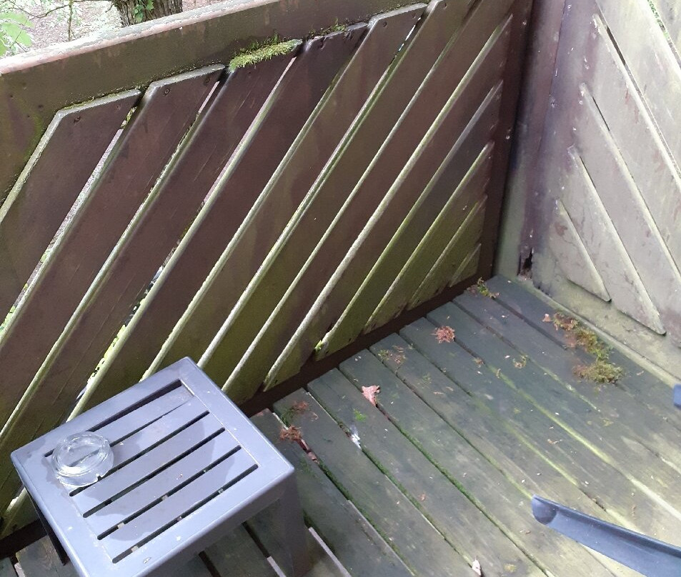 Enzo Hôtel Diane - Logis Amnéville主图