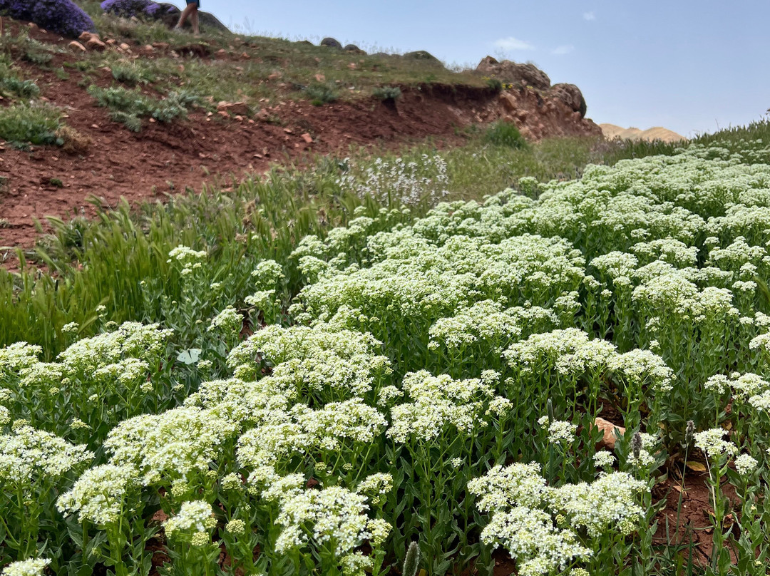 Mhamid Voyages-迈哈米德必去景点