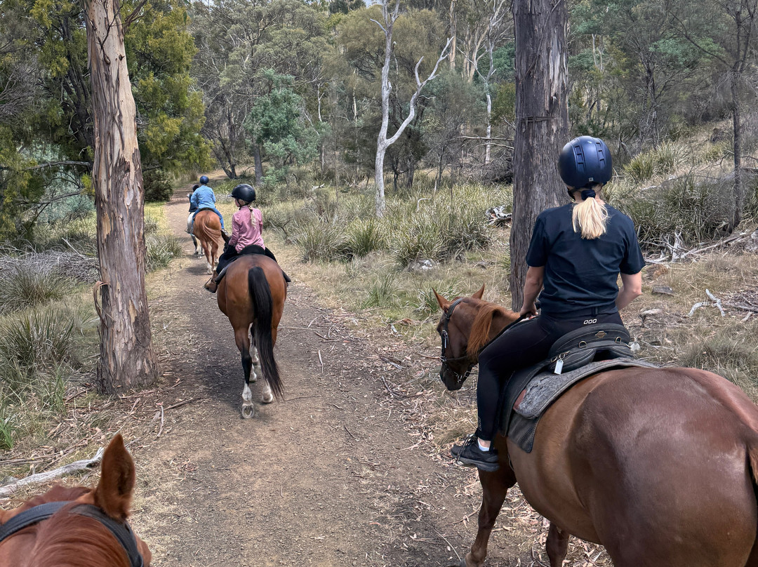 摩根湾度假村主图